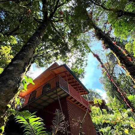 Cabana Anturios Сан Хосе Екстериор снимка