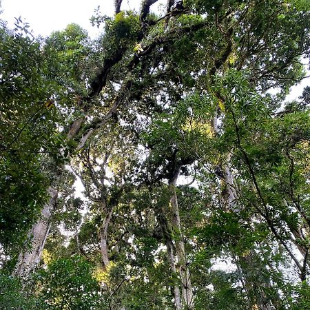 Cabana Anturios Сан Хосе Екстериор снимка