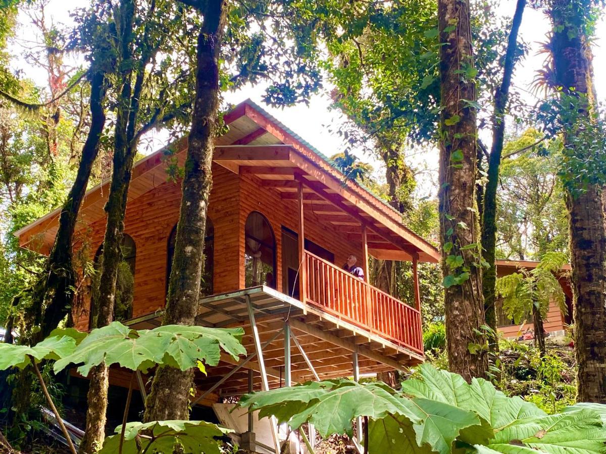 Cabana Anturios Сан Хосе Екстериор снимка