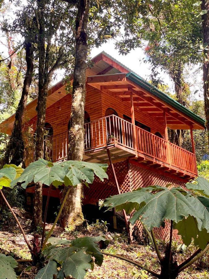 Cabana Anturios Сан Хосе Екстериор снимка