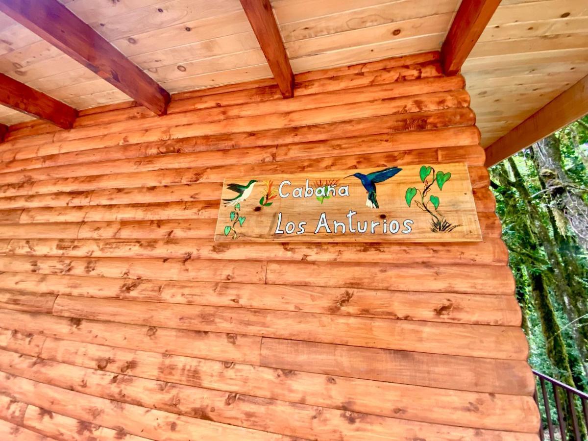 Cabana Anturios Сан Хосе Екстериор снимка