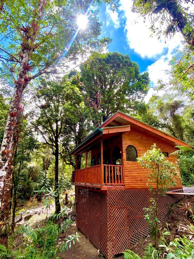 Cabana Anturios Сан Хосе Екстериор снимка