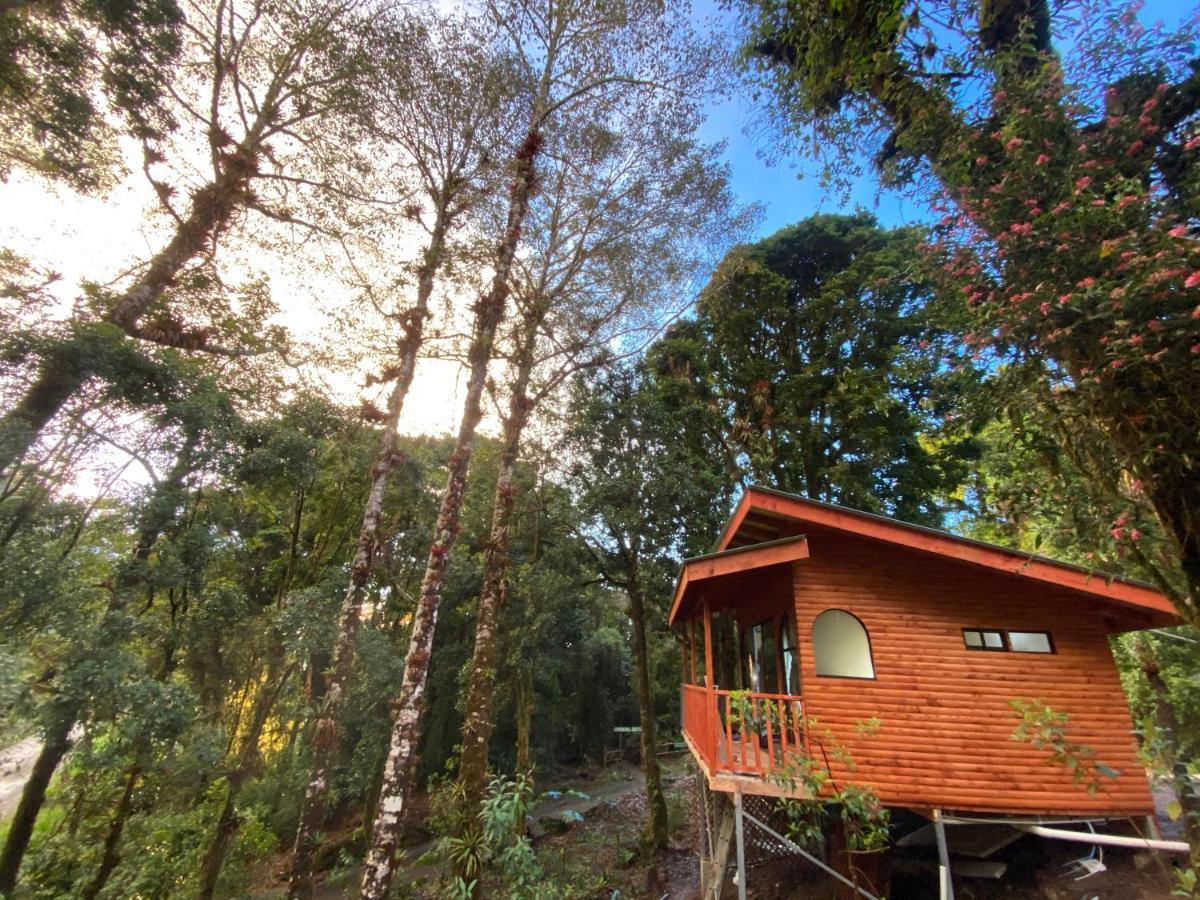 Cabana Anturios Сан Хосе Екстериор снимка