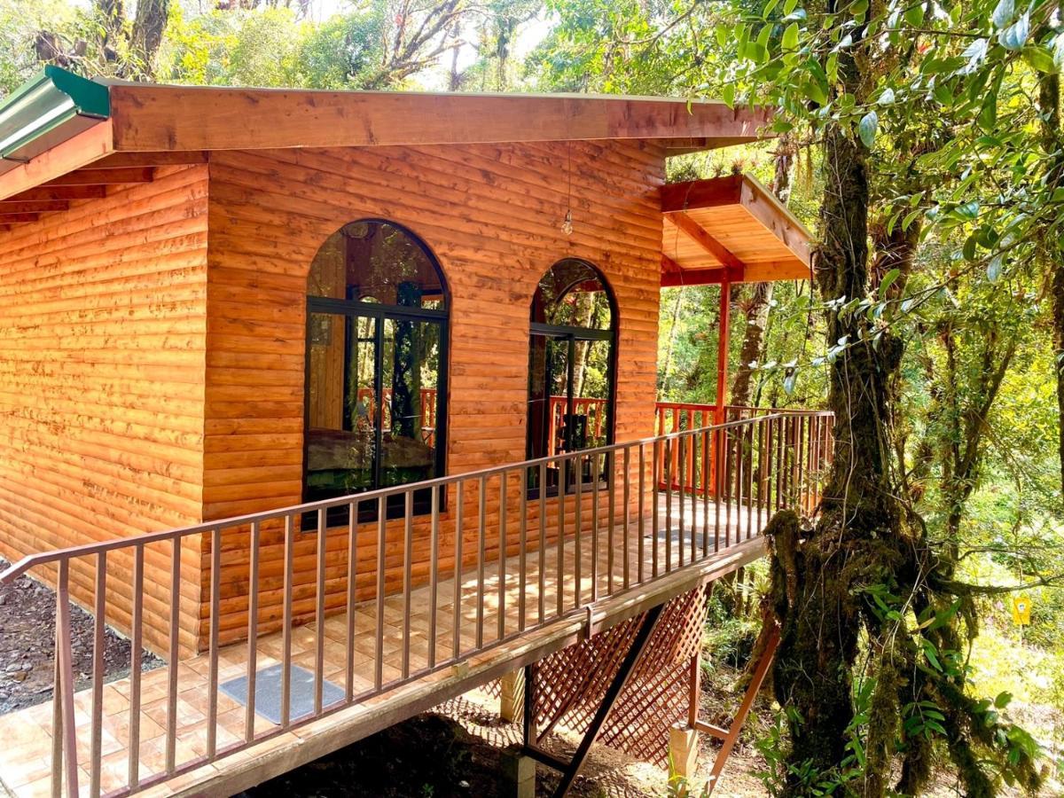 Cabana Anturios Сан Хосе Екстериор снимка
