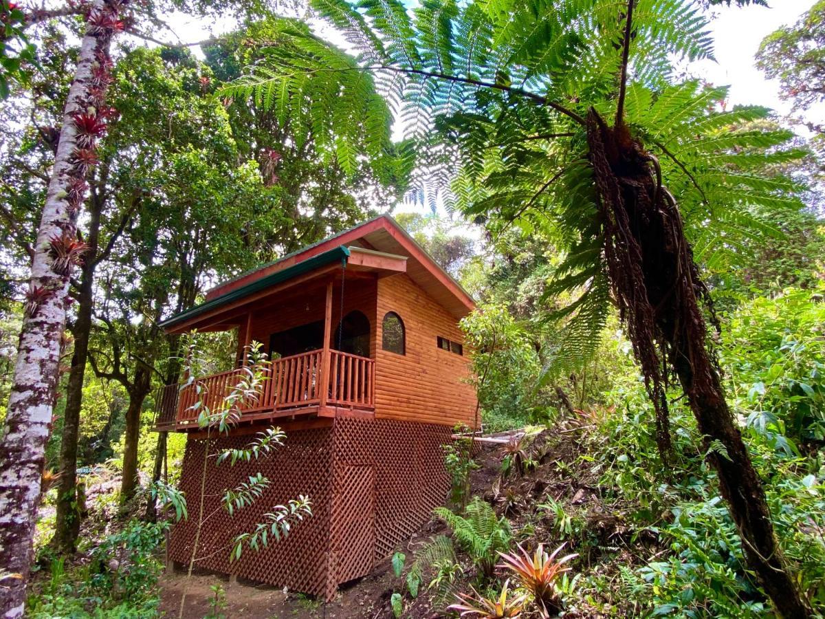 Cabana Anturios Сан Хосе Екстериор снимка