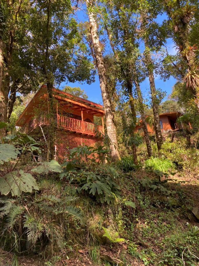 Cabana Anturios Сан Хосе Екстериор снимка