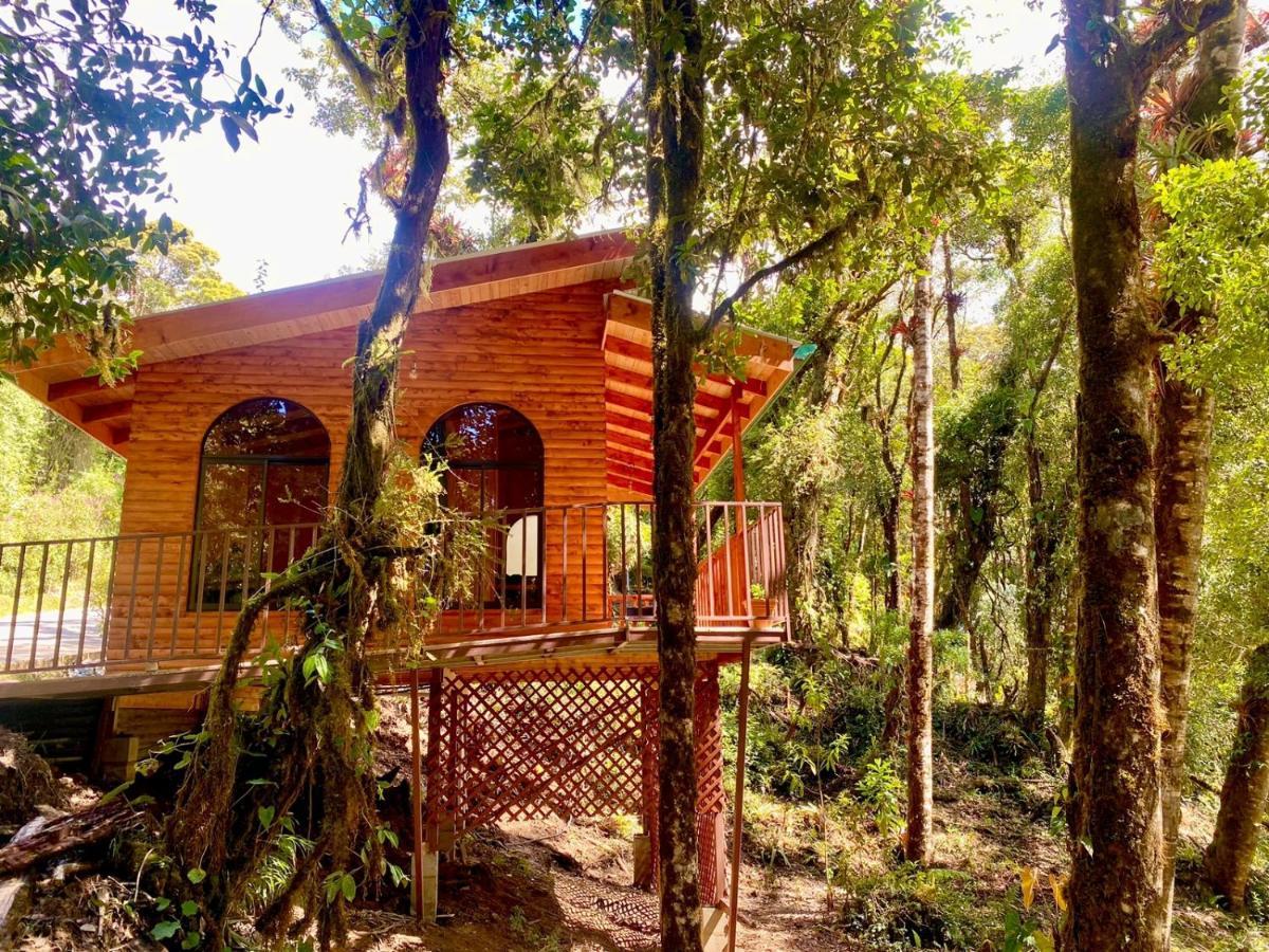 Cabana Anturios Сан Хосе Екстериор снимка