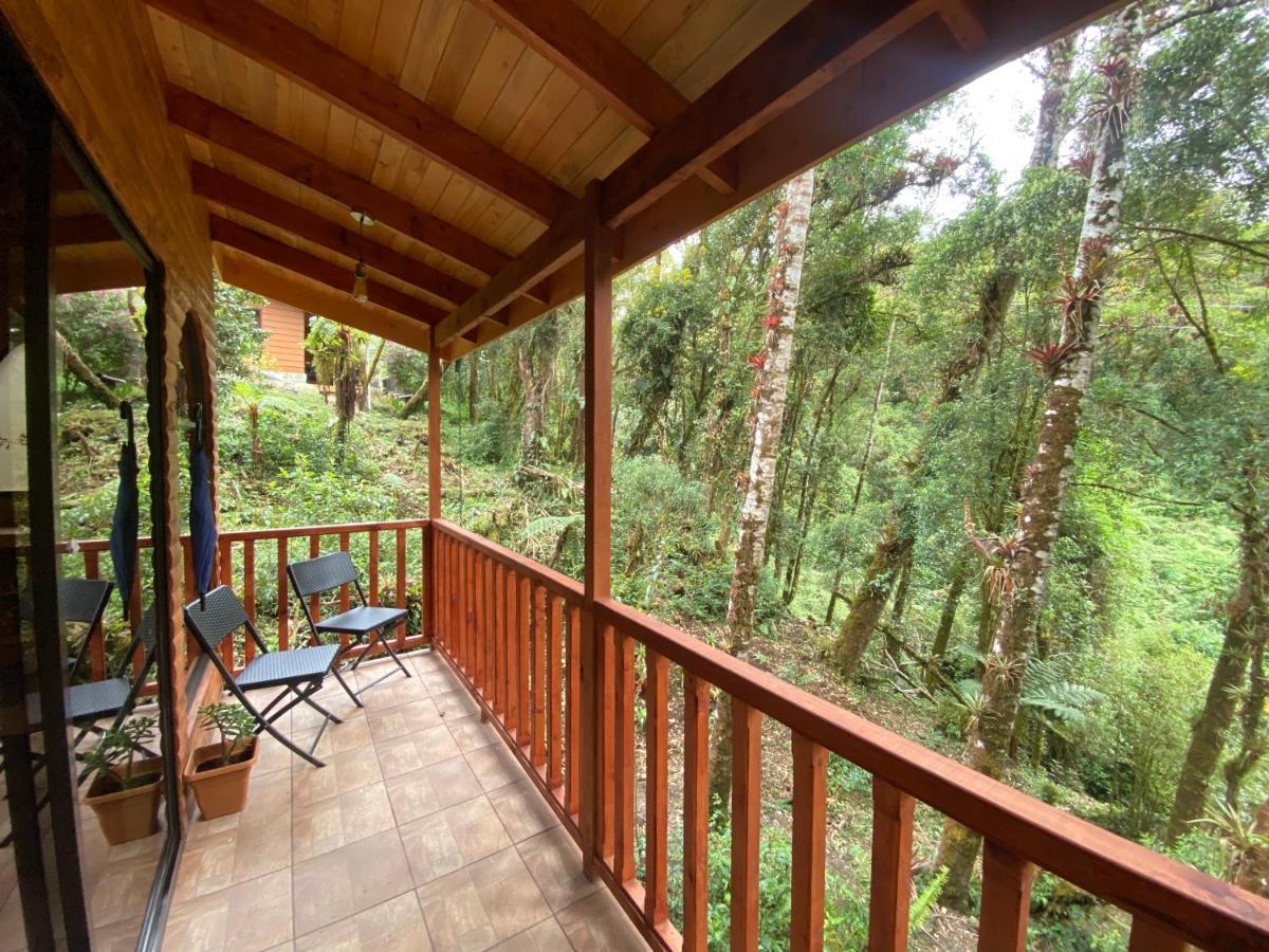 Cabana Anturios Сан Хосе Екстериор снимка