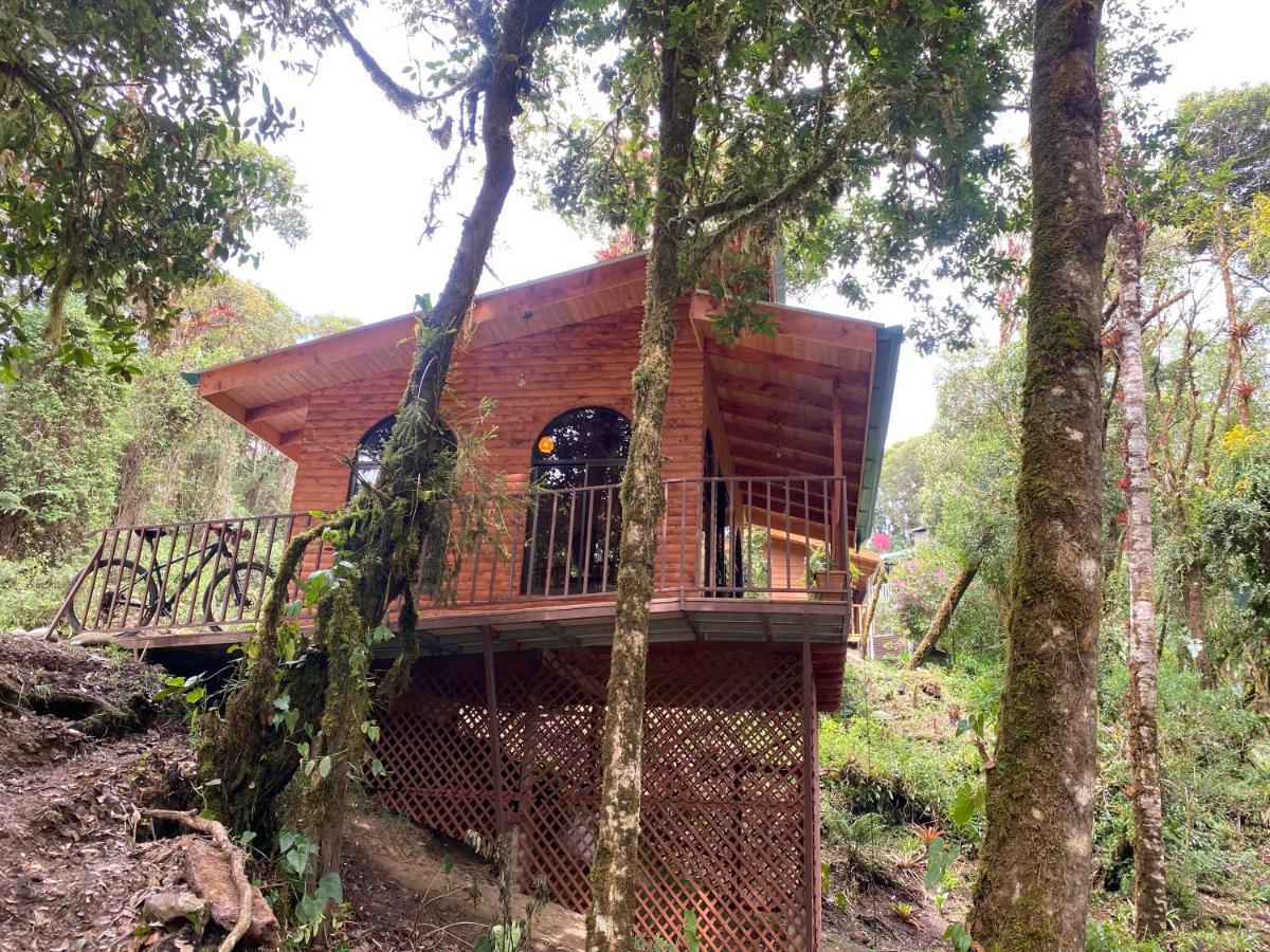 Cabana Anturios Сан Хосе Екстериор снимка