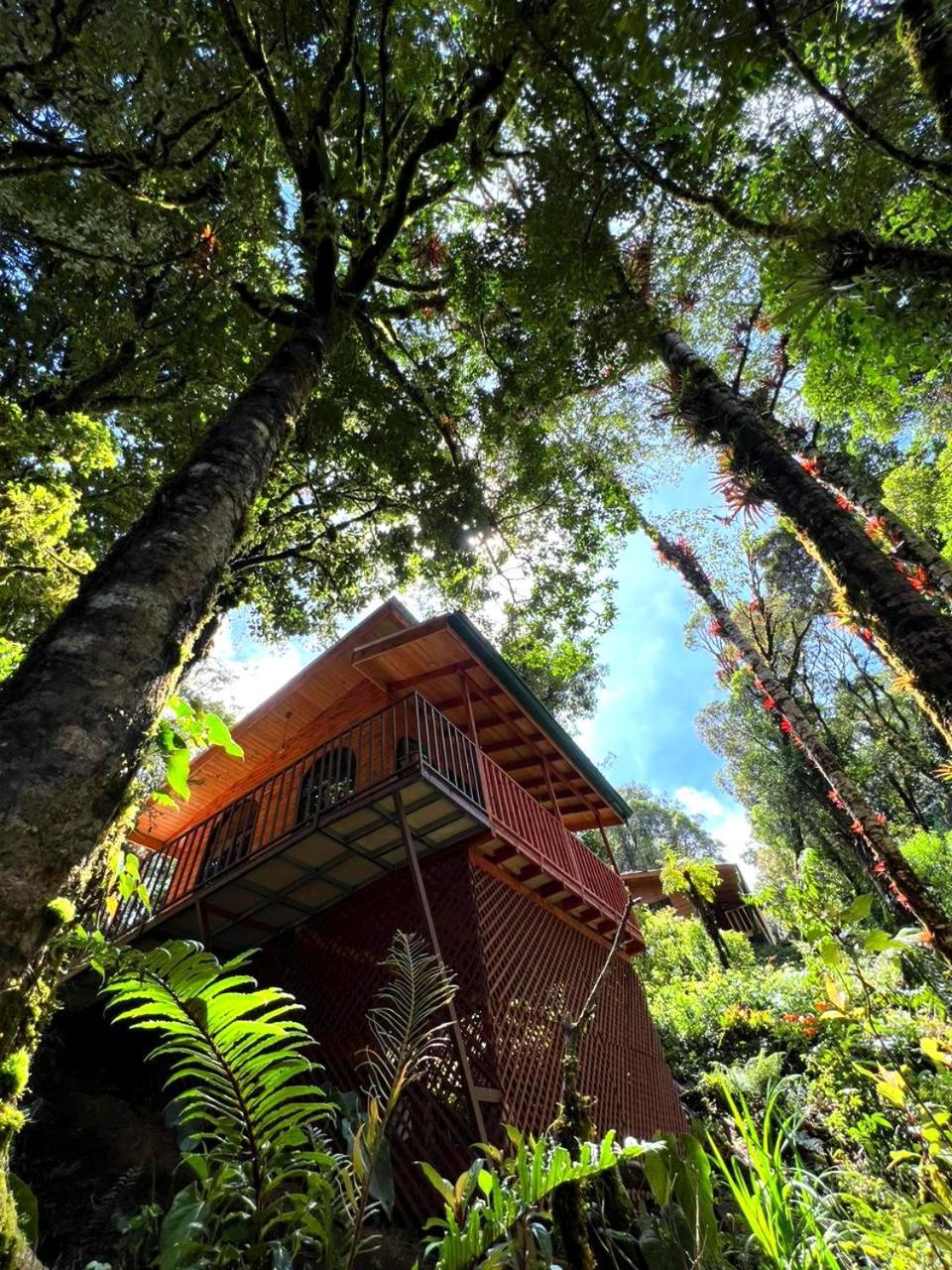 Cabana Anturios Сан Хосе Екстериор снимка