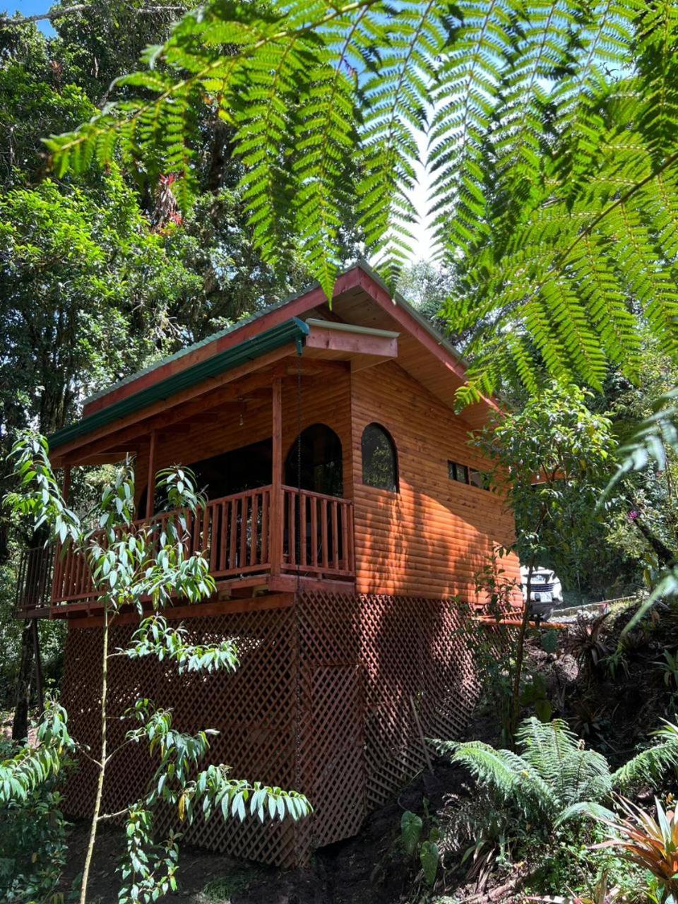 Cabana Anturios Сан Хосе Екстериор снимка